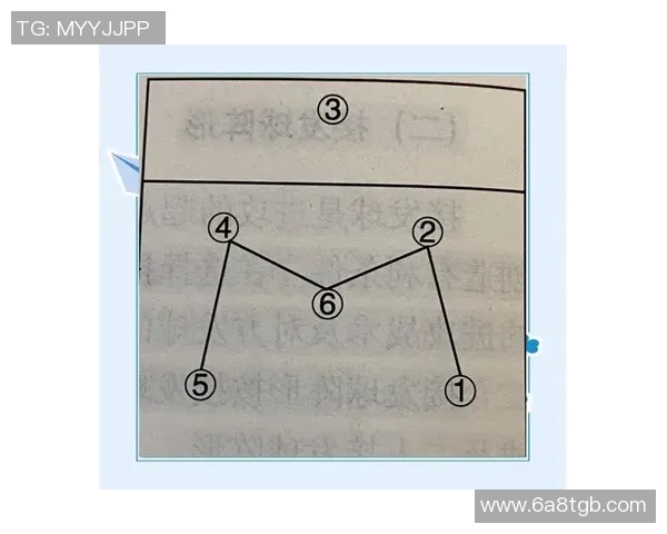 南京排球队在精英赛中的灵活性表现分析与战术探讨